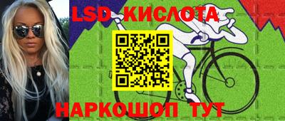прущие грибы Кунгур