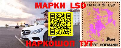прущие грибы Кунгур