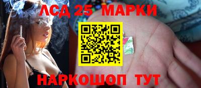 прущие грибы Кунгур