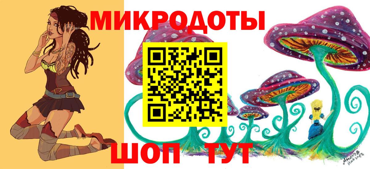 Кизилюрт  дарнет шоп  Вход с VPN  Галлюциногенные грибы мицелий 