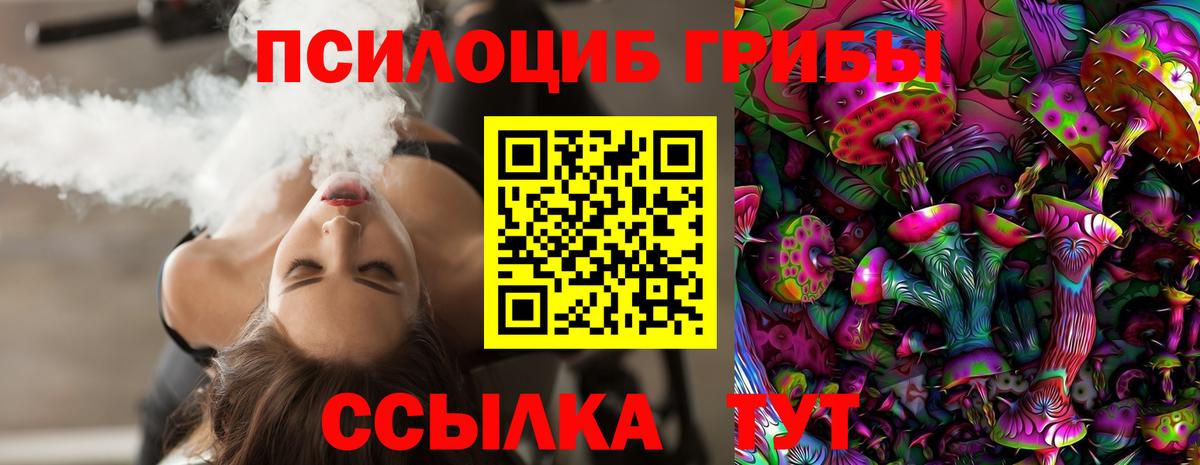 Галлюциногенные грибы Psilocybine cubensis Кизилюрт